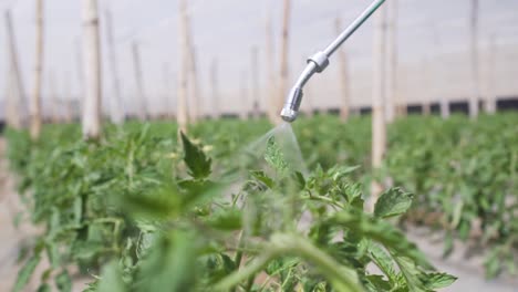 agricultor que utiliza un pulverizador de pesticidas para controlar las plagas