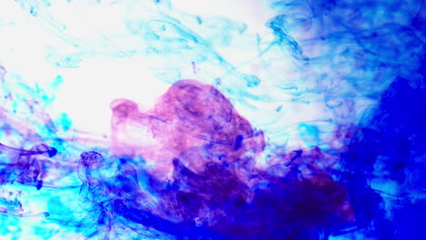 pintura o tinte púrpura y azul caído en el agua contra un fondo blanco para crear un fondo de humo colorido giratorio 3