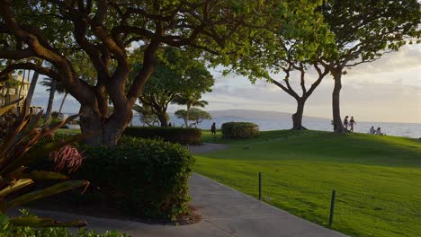 Entorno-Del-Parque-Al-Atardecer-En-Maui,-Hawaii