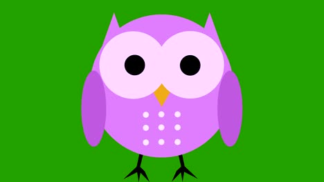 comic cartoon cute owl animation green screen cut out loop pink
