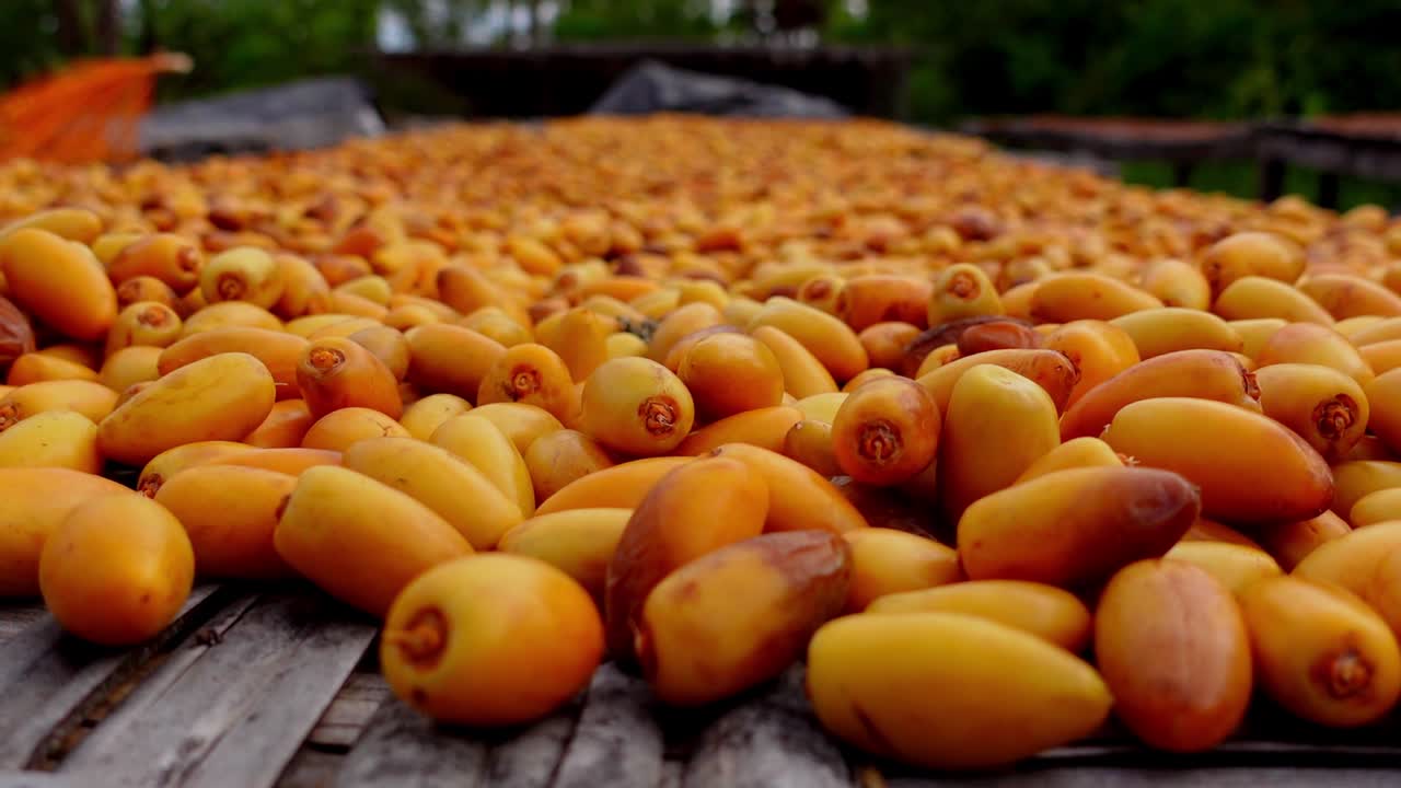 primer plano extremo vista escénica de organizar fechas en la mesa en isla holbox, méxico
