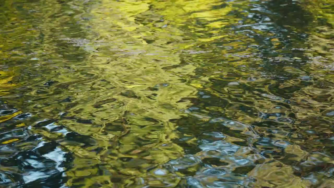 Sunlight and foliage reflect on gently rippling water surface in Montrichard, France