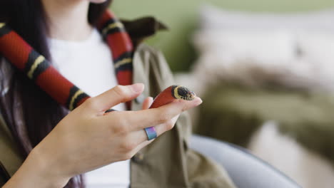 primer plano de una mano femenina sosteniendo una serpiente mascota en casa