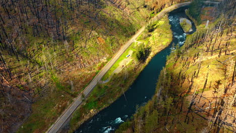 a car road passing along the narrow river flowing between the mountains. top view on the rocks covered with the trunks of trees suffered from wildfire.
