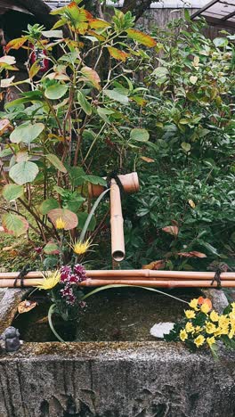 japanese garden water feature with flowers