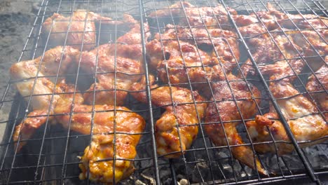 grilled chicken wings.video 4k cooking fry shish kebab,bbq, barbecue, shashlik or meat on coals. cooking meat in the grill on skewers in nature in the summer on a picnic. pork on the grill