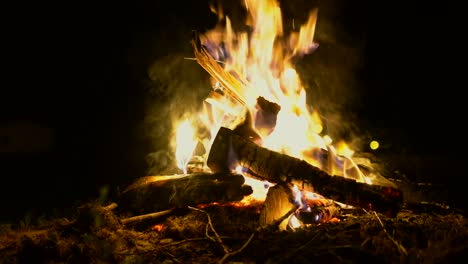 static shot of a camp fire at night as someone adds wood to the fire