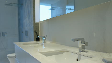 modern bathroom with double sinks and large mirror in luxury home spa