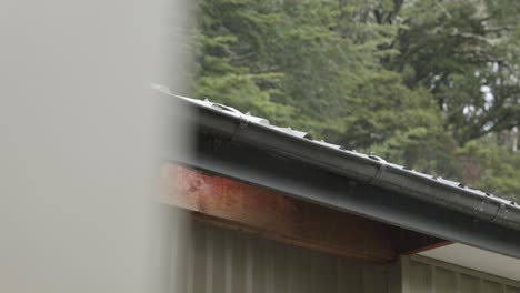 water dripping from a gutter on a wooden roof on a rainy day