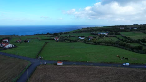 agricultural fields and cattle grazing by the atlantic ocean in salao