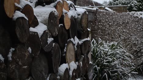 snow covered firewood pile in a garden