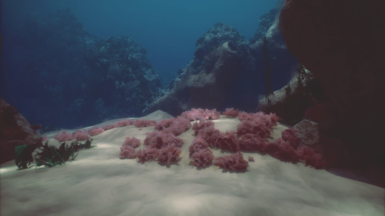 vista submarina de corales coloridos en un ambiente oceánico sereno