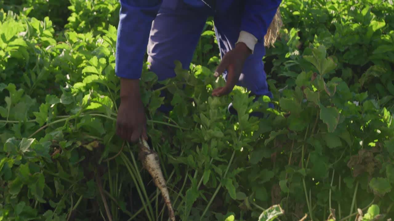 joven que trabaja en la granja