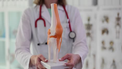 doctor demonstrating knee anatomy with a model