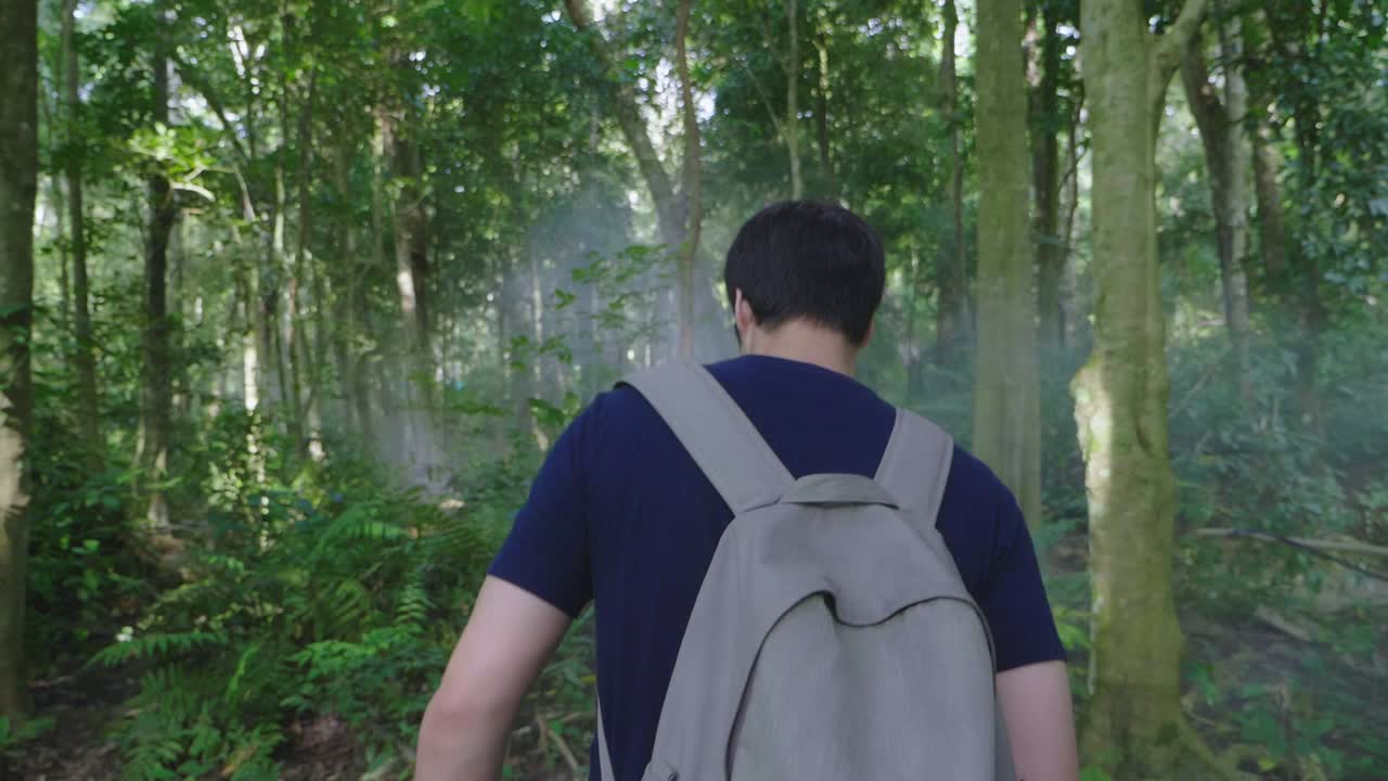 Hiker Walking In Forest, Slow Motion