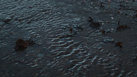 Seichter-Regenwasserbach-Mit-Plätscherndem-Wasser