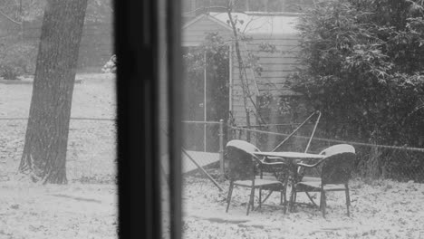 snow falling heavily on a suburban yard in michigan