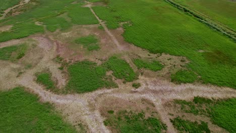 long shot with big reveal of polish nature reserve "beka"