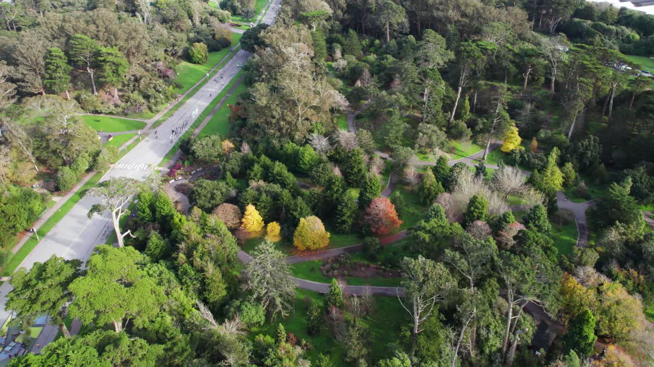 san francisco, estados unidos, vista aérea del parque golden gate en la temporada de invierno, disparo de drone