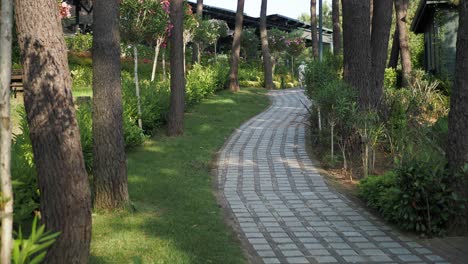 a winding stone pathway through a lush green garden with trees on either side