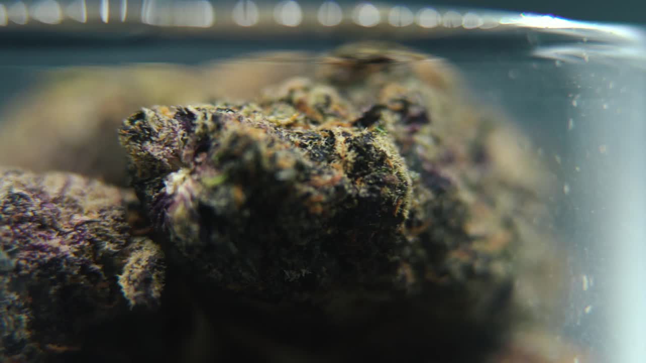 Macro rotating video of a cannabis plant, hybrid strains, crisp sativa, marijuana flower in a clear glass, purple haze, 4K detailed video, studio lighting, magical blur, smooth movement