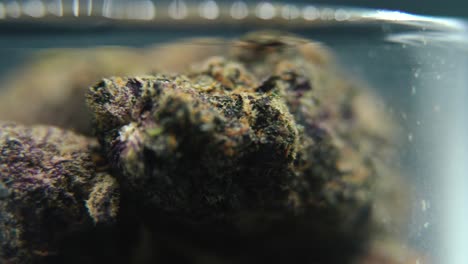 Macro-rotating-video-of-a-cannabis-plant,-hybrid-strains,-crisp-sativa,-marijuana-flower-in-a-clear-glass,-purple-haze,-4K-detailed-video,-studio-lighting,-magical-blur,-smooth-movement