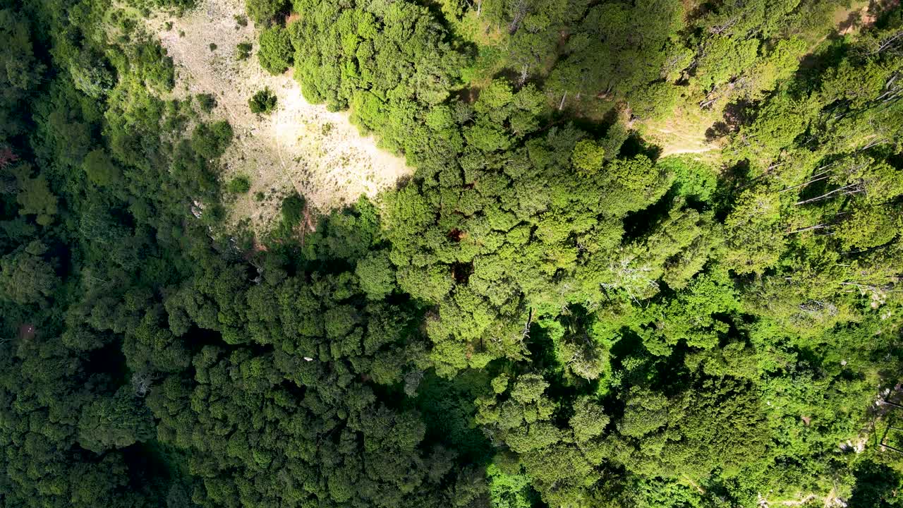vista de drones del bosque en un pequeño pueblo de áfrica ciudad de west pokot kenia áfrica