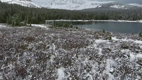a spectacular 4k drone shot of a lone bull moose trekking next to a secluded lake in the middle of the winter with maroon bells in the distance, near aspen and snowmass, colorado, usa