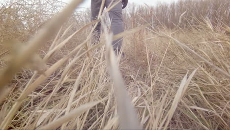 walking in tall grass - lens flares slow motion