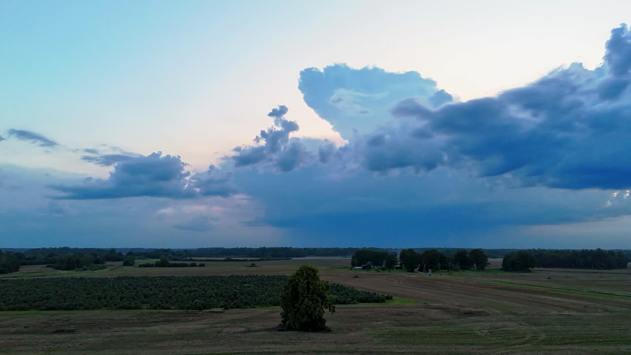 Timelapse Drone Shote of Sunset Harvest in Latvia Combines Collecting Rapeseed Surrounded by Vast Agricultural Fields and Dramatic Clouds in the Sky the Rhythm of Rural Life in Golden Light