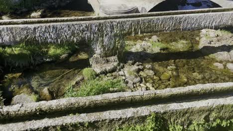 various very old water pipes covered with moss and algae