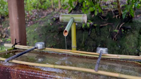 tsukubai - water supply through bamboo pipe with ladles at entrance of konchi-in temple in kyoto, japan