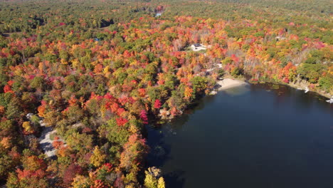 aerial footage of one of the lakes and beautiful forests near vaughan city in ontario in full fall colors