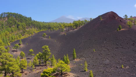 提內里夫島的 el teide 火山的空中圖像