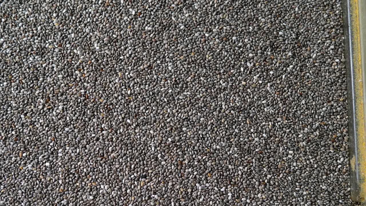 치아 씨앗 텍스처