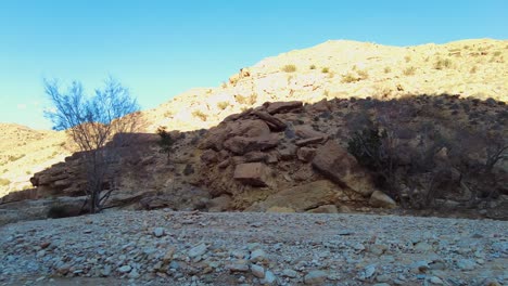 un río en el medio del desierto del sáhara argelia biskra