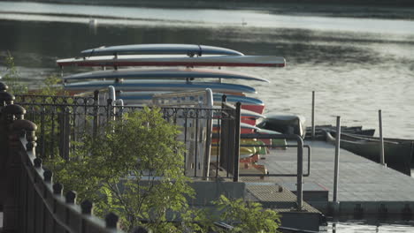 paddle boards, kayaks and canoes for rent on the charles river in waltham, ma