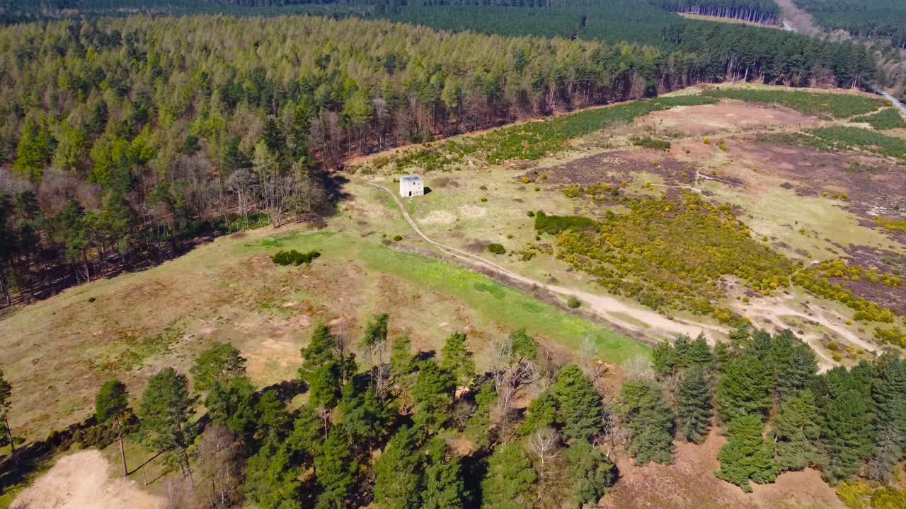 съемка с беспилотника заброшенных мест warren lodge, thetford forest
