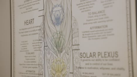 Un-Examen-De-Las-Funciones-Del-Corazón-Y-La-Garganta-Humanos-Mediante-La-Exploración-De-Un-Diagrama