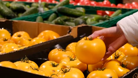 female hand chooses yellow tomatoes from a box at the market tomatoes in boxes on the market female hand chooses yellow tomatoes from a box at the market organic products