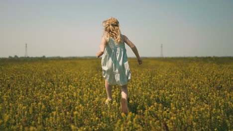 tracking shot of young female kid running in flowers field during golden sunset, netherlands