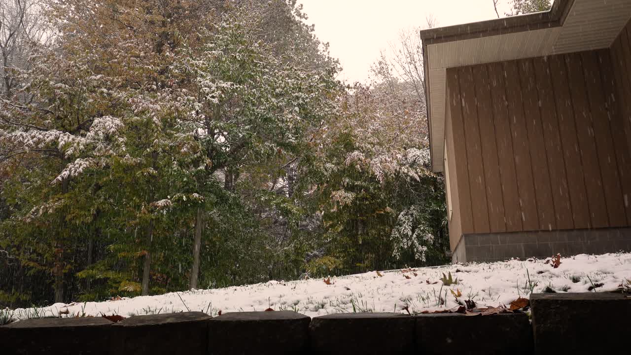 A suburban backyard with warm highlights during light snowfall.