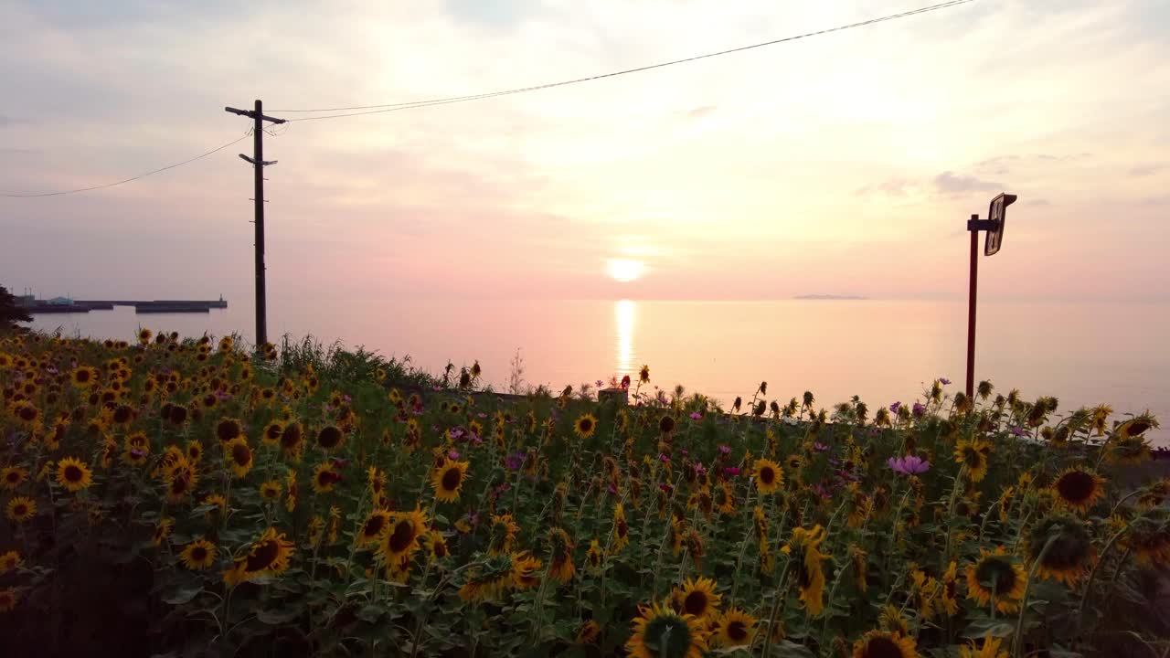 시모나다 역의 아름다움