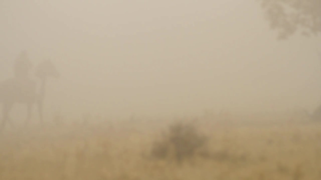 모래 폭풍 속 의 말 과 승마자