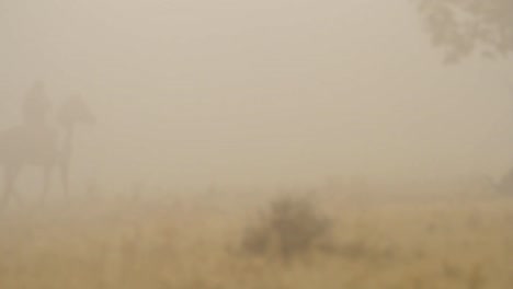 horse and rider in a sandstorm