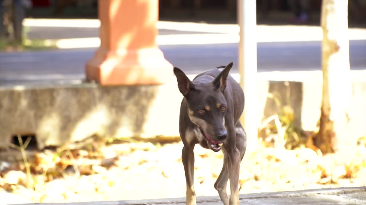 태국의 아름다움