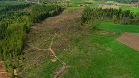 aerial drone shot of deforestation area