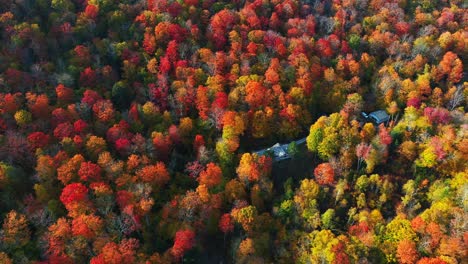 casa de campo escondida en un bosque verde rojo vivo