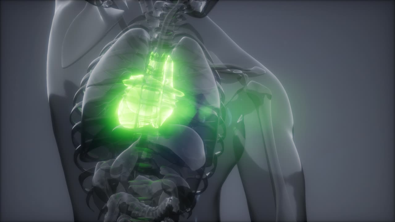 examen de radiología del corazón humano