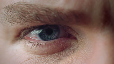 macro of opened male blue eye. close up of man eye with bright blue color.